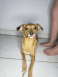 princesa 