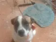 BOLINHA