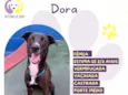 Dora
