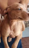 Suzie