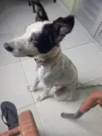 Bob
