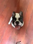 ARNOLD 