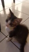 Mia