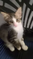 Mia