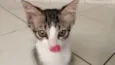 Mia