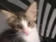 Mia