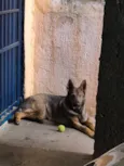 Nina