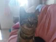 Junior 