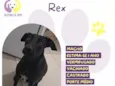 Rex