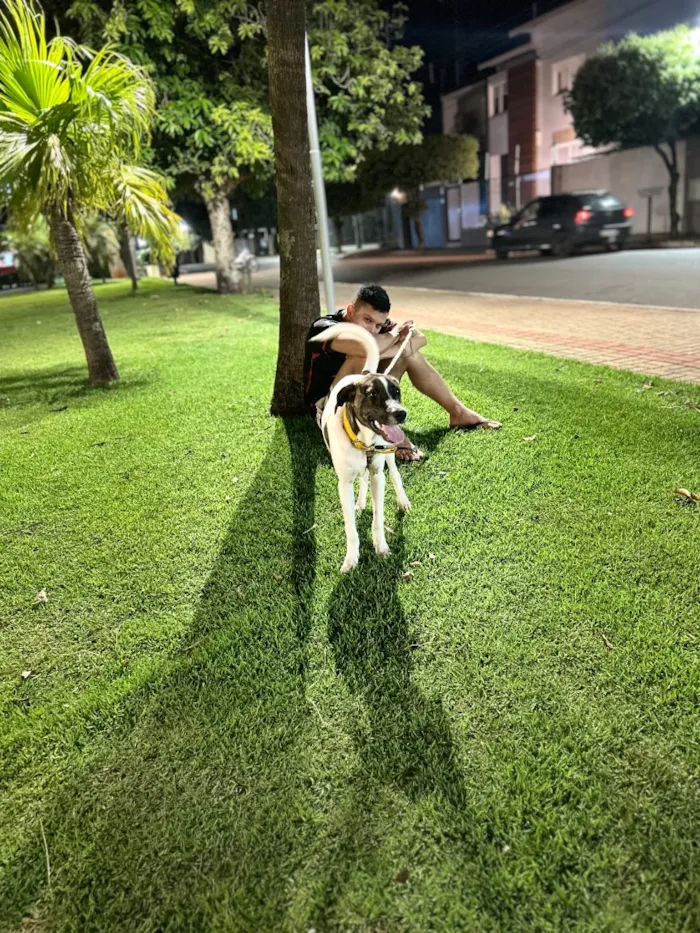 Cachorro raça SRD-ViraLata idade 2 a 6 meses nome Luck