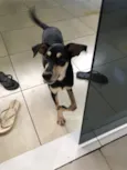 Antônio