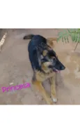 Princesa