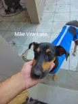 Jake, Sasa, Mel