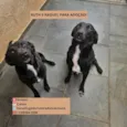 Ruth e Raquel