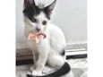 Doudou bb2meses Linda 