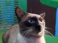 João 