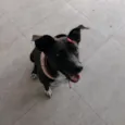 pepa