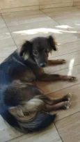 Mel