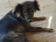 Mel