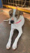 Zulu