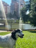 Skye