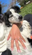 Skye