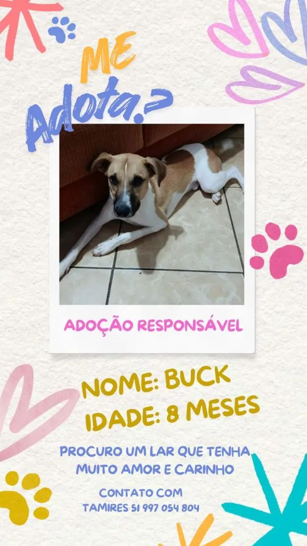 Cachorro raça SRD-ViraLata idade 1 ano nome Back