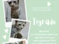 tigrado 