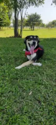 Zeus