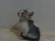 Não tem nome ainda 