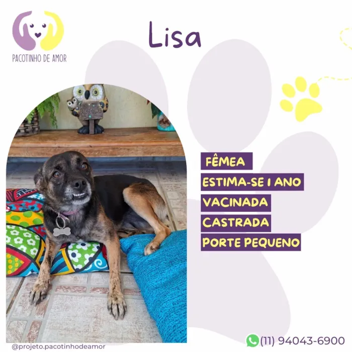 Cachorro raça SRD-ViraLata idade 1 ano nome Lisa