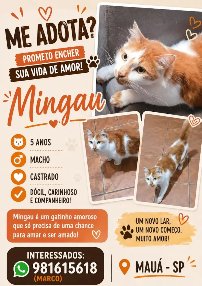Gato raça SRD-ViraLata idade 5 anos nome Mingau