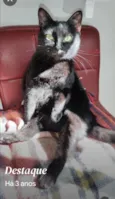 Mimi