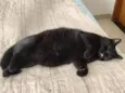 Mimi