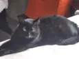 Mimi