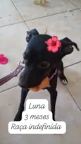 Luna 