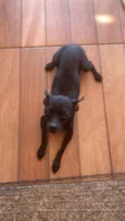 Chico