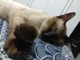 Tadeu