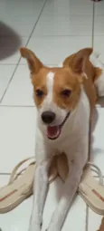 Spike