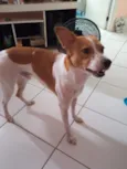 Spike