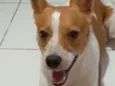 Spike