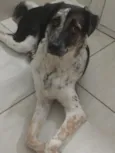 Miguel
