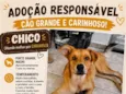 Caramelo