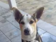 Ben