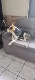 Ben