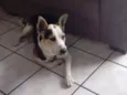 Ben