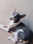 Teo