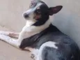 Teo