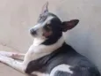 Teo