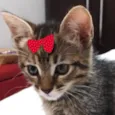 Mila 